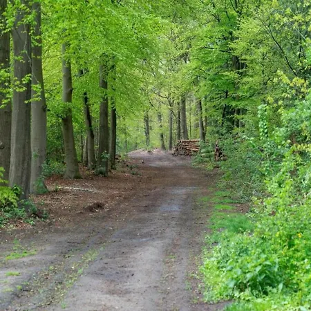 Near De Veluwe, Cleaning Included Voorthuizen
