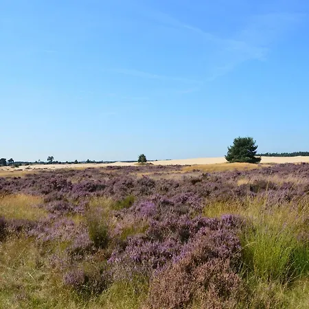 Near De Veluwe, Cleaning Included Hébergement de vacances