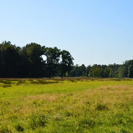 Near De Veluwe, Cleaning Included